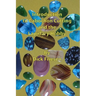 Introduction to Cabochon Cutting and the Lapidary Hobby