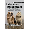 Laboratory Dogs Rescued: From Test Subjects to Beloved Companions