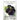 Blackberry Wine