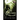 The Grotesquerie