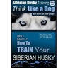 Siberian Husky Training Think Like a Dog...but Don't Eat Your Poop!: Here's EXACTLY How To Train Your SIBERIAN HUSKY