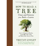 How to Read a Tree: Clues and Patterns from Bark to Leaves
