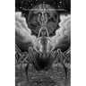 Lil Az H Az Lil: The Grimoire of the Arachnean Goddess