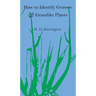 How to Identify Grasses and Grasslike Plants: Sedges and Rushes