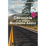 Chronicle of an English Morpheme Addict