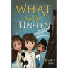 What Goes Unseen