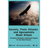 Anxiety, Panic Attacks and Agoraphobia Made Simple