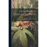 From Egg to Tadpole to Frog