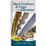 Bird Feathers & Eggs of the Northeast: Identify 40 Species of Common Backyard Birds