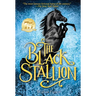 The Black Stallion