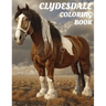 Clydesdale Coloring Book: Gorgeous 8.5x11 Inch Illustrations of Horses for All Ages