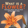 What is a Flower? Dissecting a Flower, Parts of a Flower and Reproductive Roles Grade 6-8 Life Science