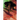 The Kouga Ninja Scrolls