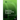 Algorithms for Scheduling Problems