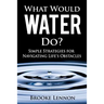 What Would Water Do?: Simple Strategies for Navigating Life's Obstacles