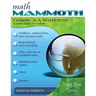 Math Mammoth Grade 3-A Worktext, Canadian Version
