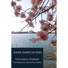 Under American Skies