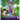 Tammy the Troll: A Dance in the Forest