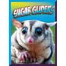 Sugar Gliders