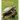 Turtles: A Compare and Contrast Book