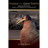 Walrus With A Gold Tooth
