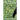The Spirit of the Green Man
