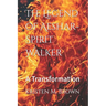The Legend of Aeshar-Spirit Walker: A Transformation