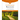 Celebrate Recovery Leader's Guide, Revised and Updated: A Program for Implementing a Christ-Centered Recovery Ministry in Your Church