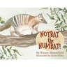 Notbat the Numbat