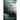 The Melancholy Howl