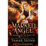 Marked Angel: A New Adult Paranormal Romance
