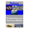 The Security Concerns of the Baltic States as NATO Allies