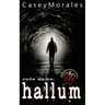 Hallum: An m/m romance spy thriller