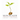 Seeds of Faith: Practices to Grow a Healthy Spiritual Life