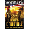 United We Stand: A Post-Apocalyptic Novel of the Coming Civil War in America
