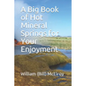 A Big Book of Hot Mineral Springs for Your Enjoyment