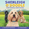 Shenleigh O'Doodle, Half Golden, Half Poodle