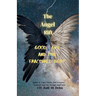 The Angel Rift