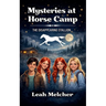 Mysteries at Horse Camp: The Disappearing Stallion