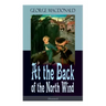 At the Back of the North Wind (Illustrated): Children's Classic Fantasy Novel