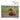 Bears: A Photographic Collection