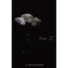 Fragile II