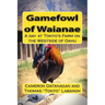 Gamefowl of Waianae: A day at Tonto's Farm on the Westside of Oahu