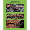 A Field Guide to the Geckos of Northern Territory