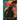 Anacaona: The Golden Flower Queen