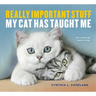 Really Important Stuff My Cat Has Taught Me