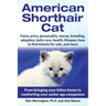 American Shorthair Cat: From bringing your kitten home to comforting your senior age companion