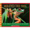 Red-Eyed Tree Frog