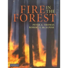 Fire in the Forest