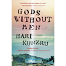 Gods Without Men